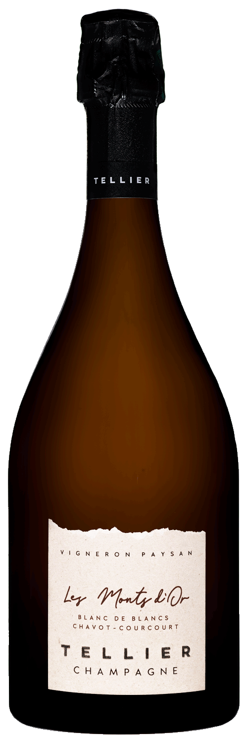 Champagne Extra-Brut La Goutte d’Or Pinot Noir  - 2018 - Champagne Tellier main image 1